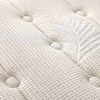 德國美得麗-MR728 標準雙人床 (5x6.2尺）